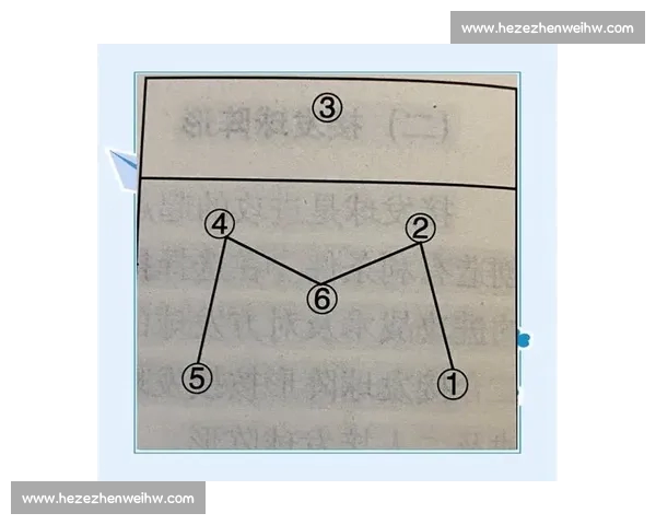 排球运动的魅力与技巧解析：从基础规则到进阶战术全面剖析